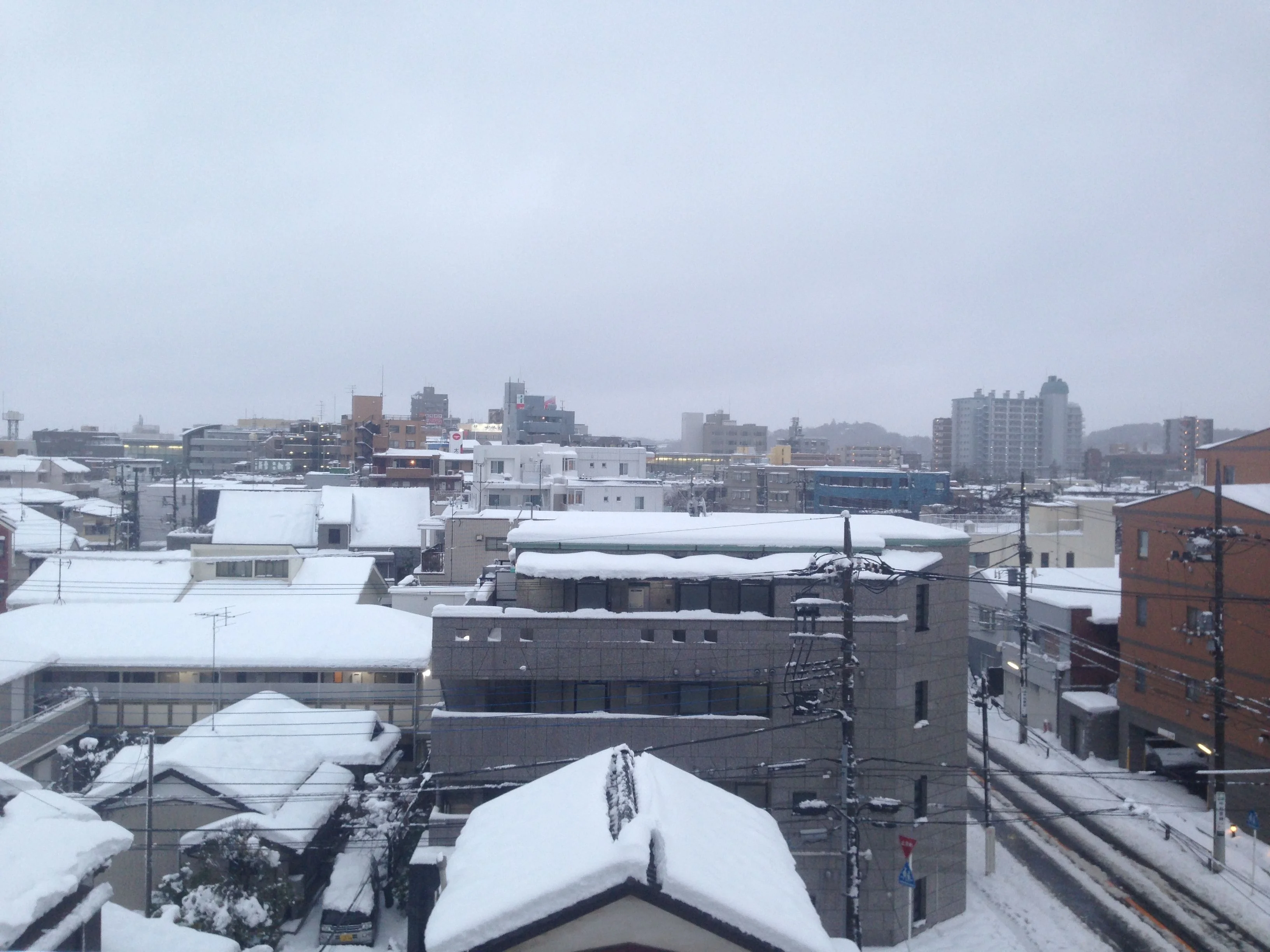 雪が積もっています