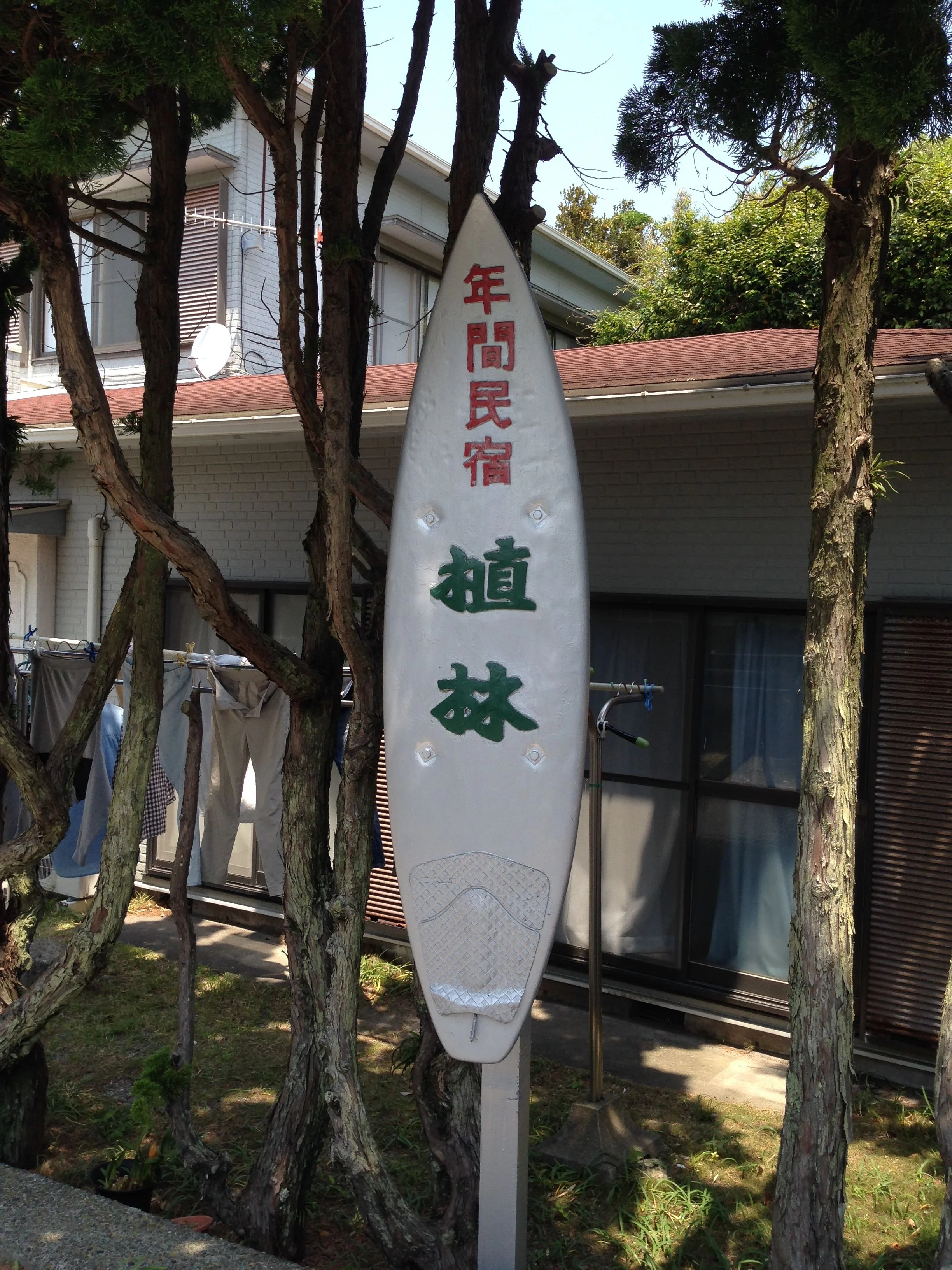 いつも宿泊している植林(うえりん)