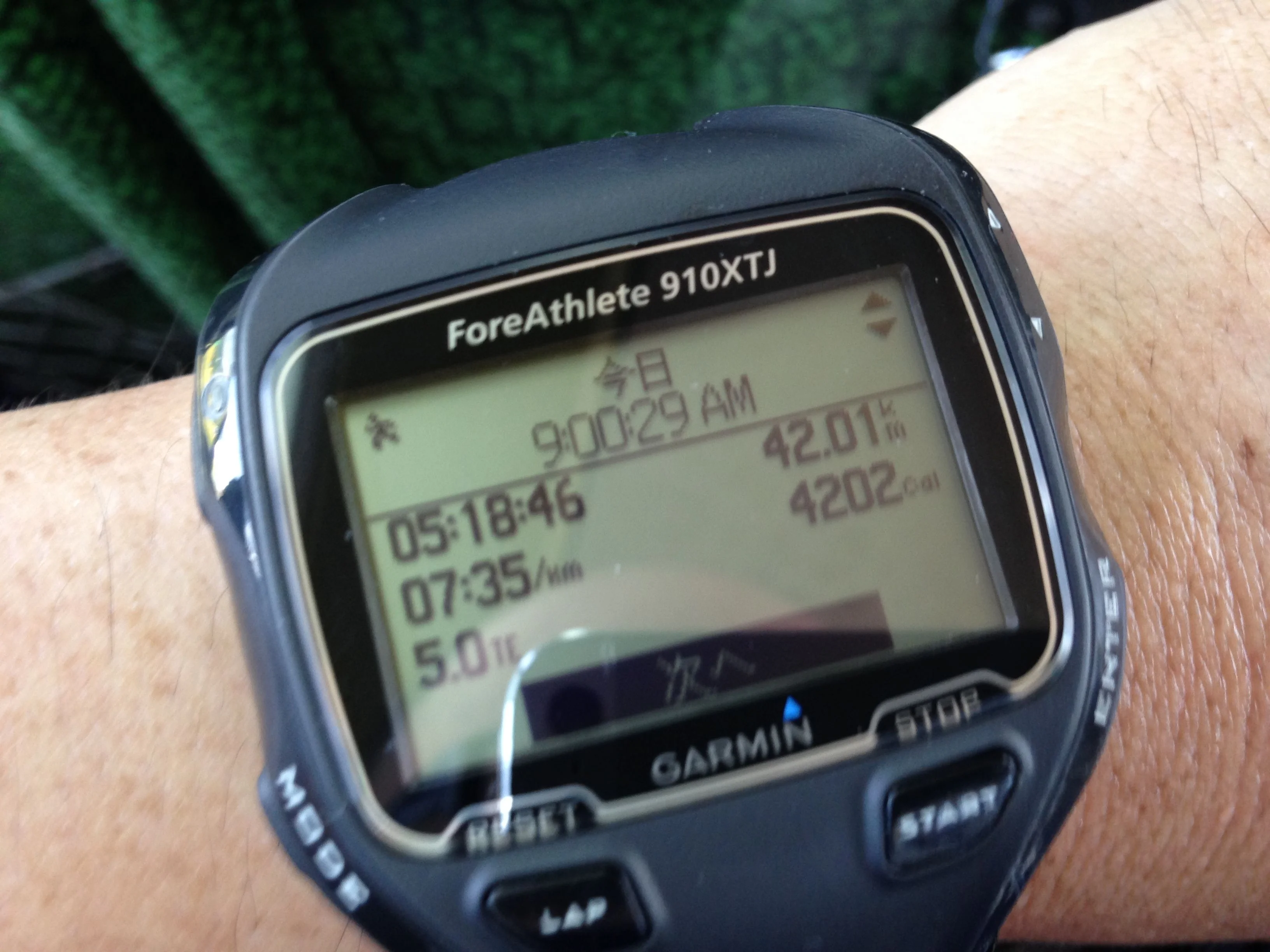 Garmin での計測結果