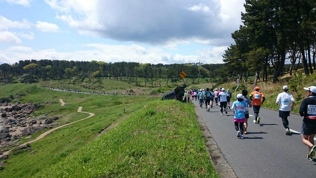 八戸うみねこマラソンに行ってきました