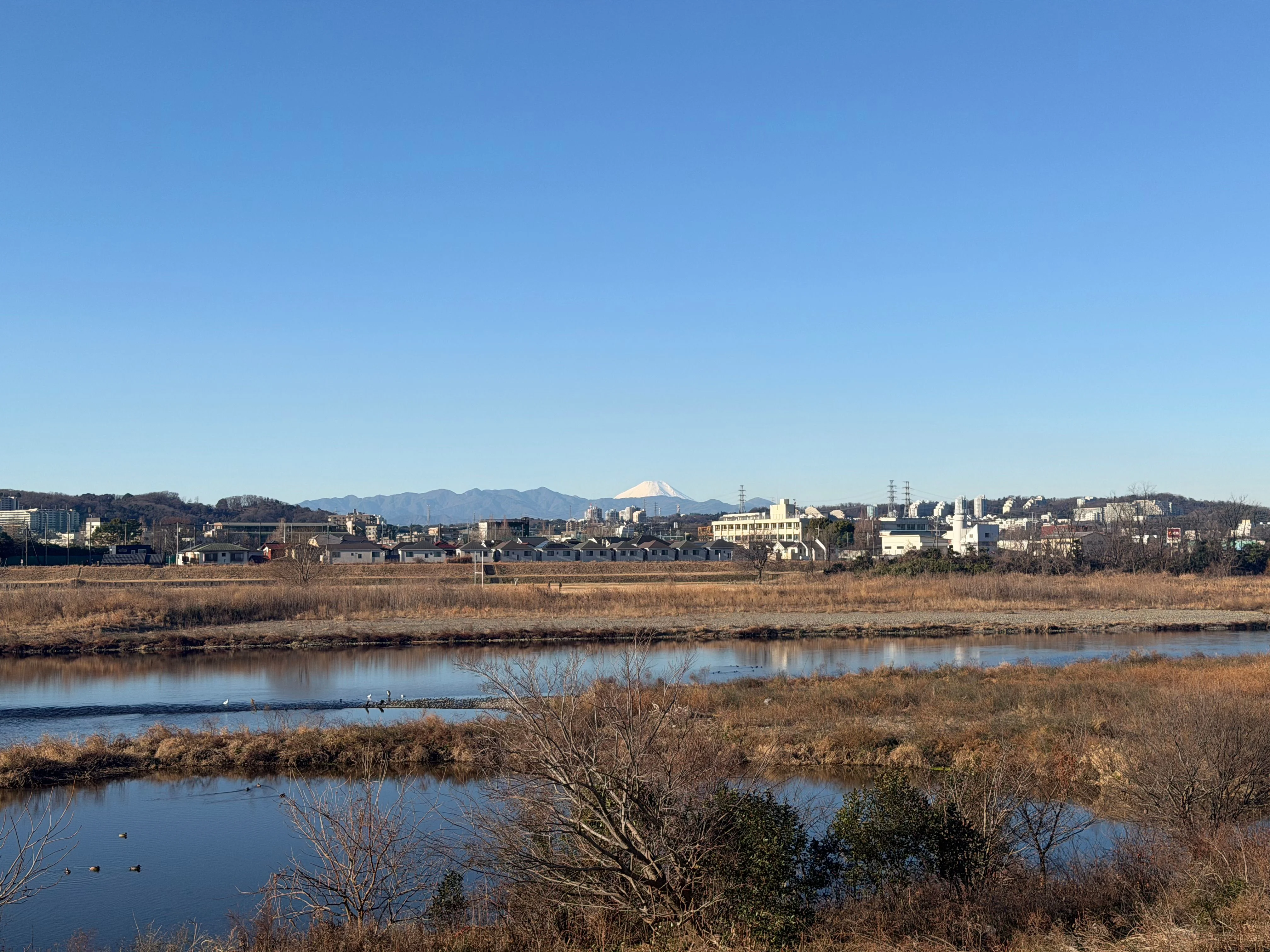 メインカメラ 24 mm - ISO64 48 mm ƒ1.78 1/6024s - 4032 × 3024