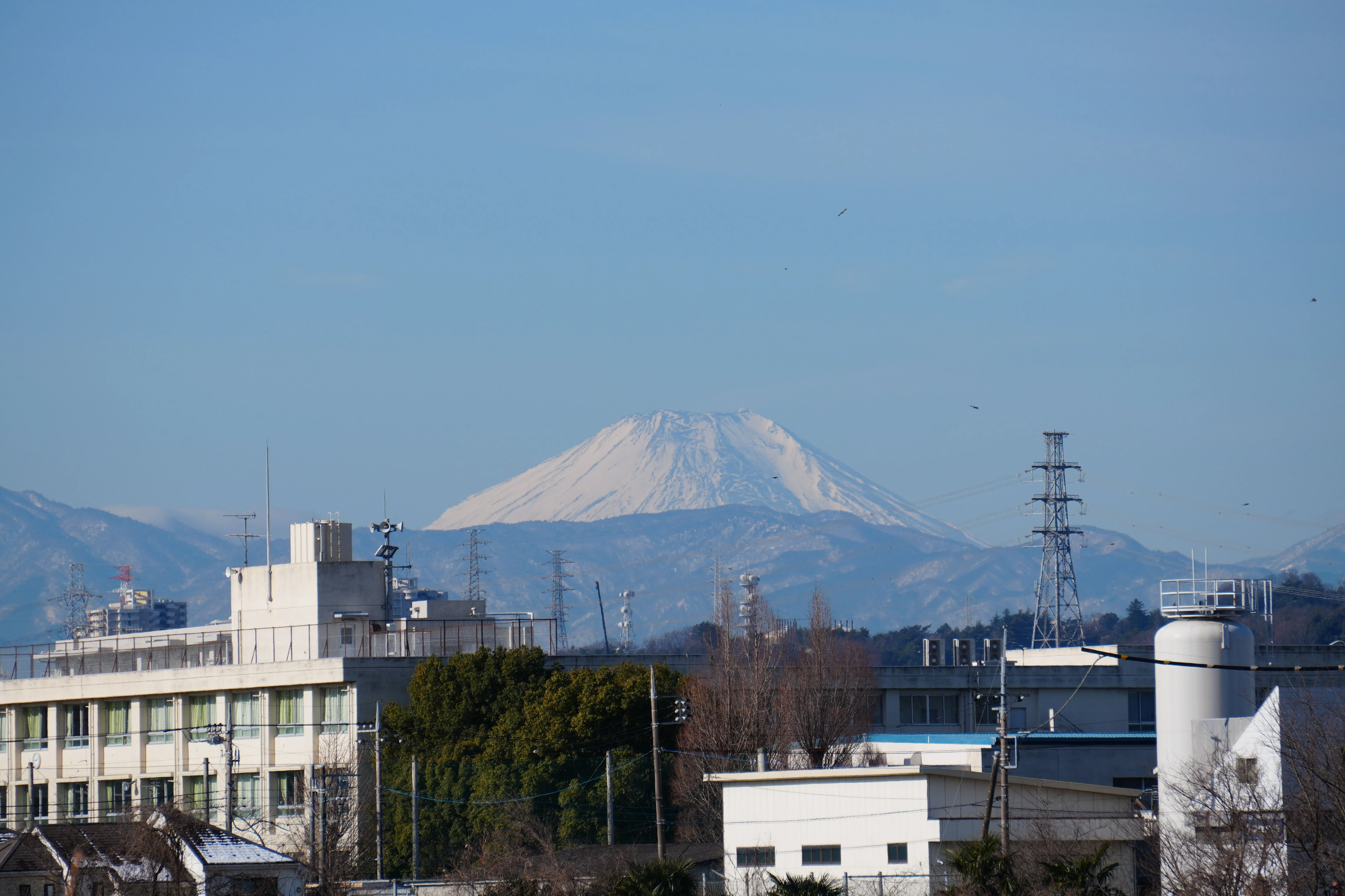 E 55-210mm F4.5-6.3 OSS - ISO 100 315 mm ƒ8 1/500s - 6192 × 4128