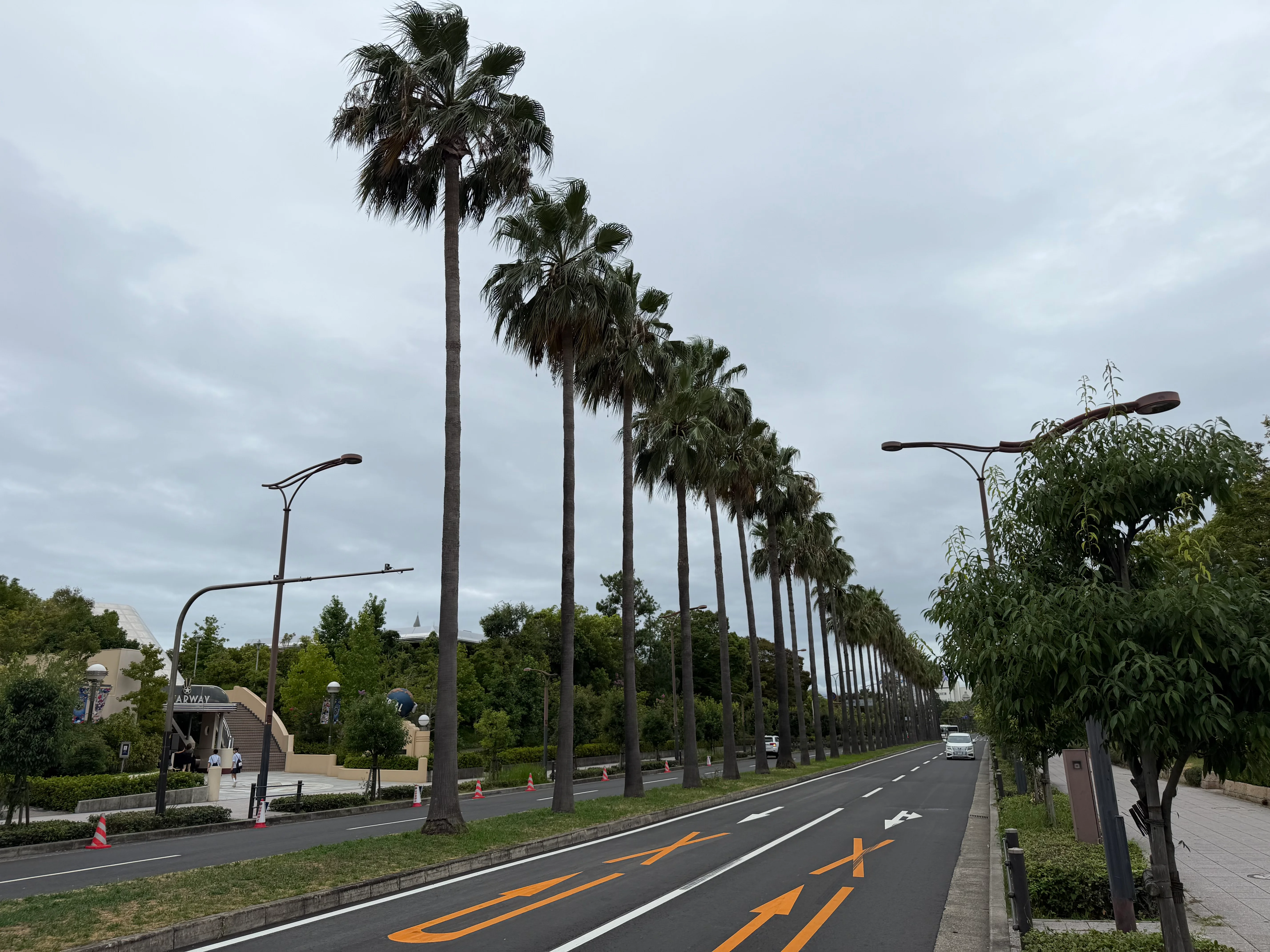 道はちょっと南国感あり