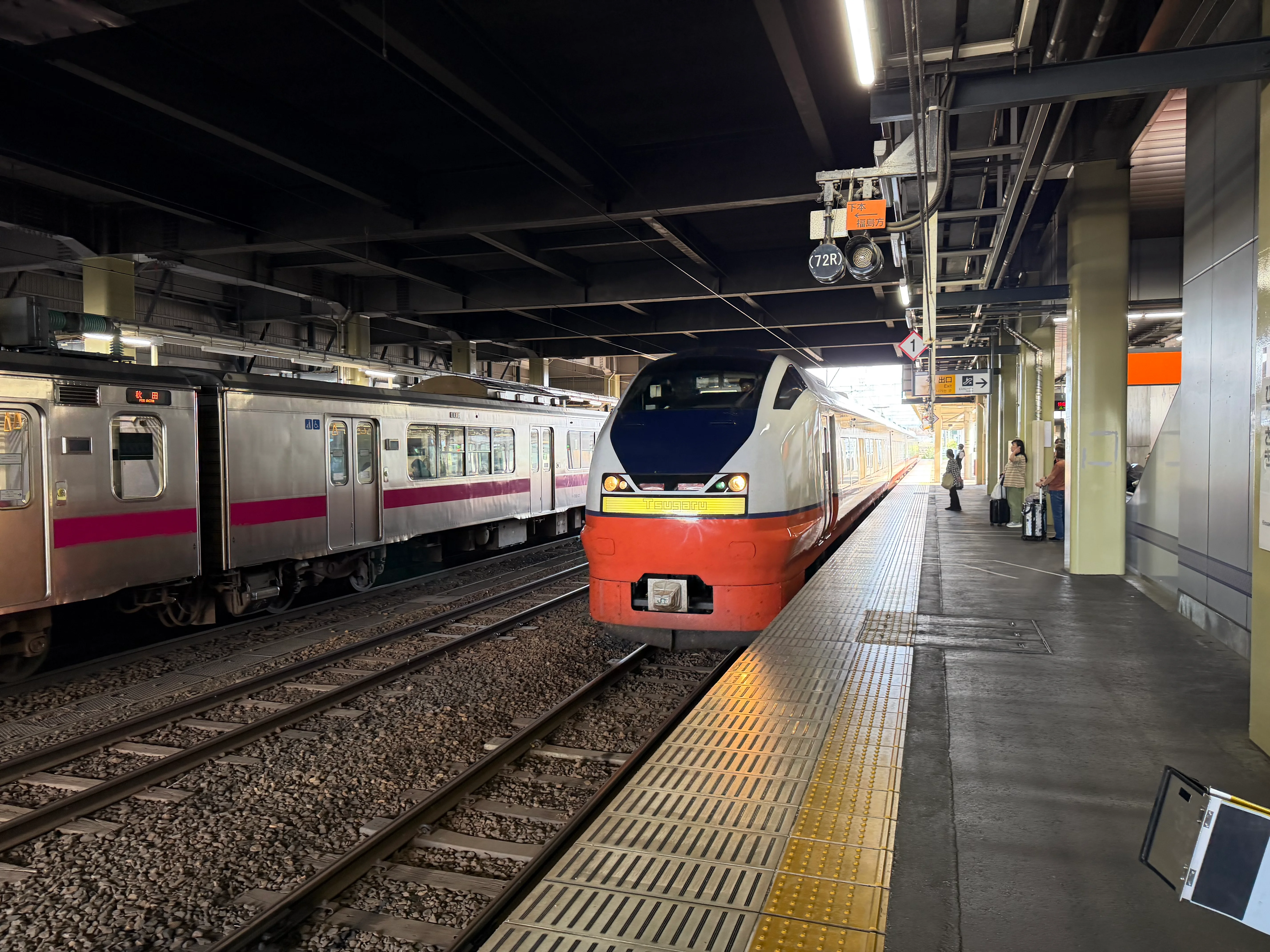 特急つるぎがやってくる